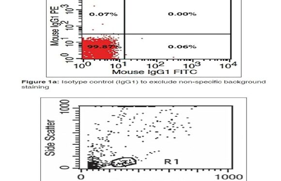 Impact of iron deficiency anemia on cell-mediated and humoral immunity in children: A case control study